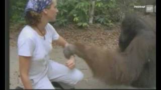 Julia Roberts with Orangutan [upl. by Carlen]