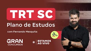 Concurso TRT SC  Plano de estudos com Fernando Mesquita [upl. by Eeznyl]