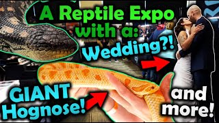 Attending the Most Epic Tinley Reptile Show Ever [upl. by Metah102]