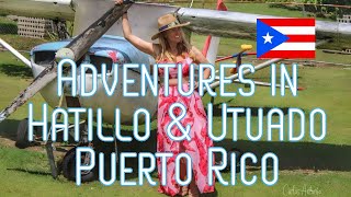 Visiting Hatilllo and Utuado Puerto Rico Villa Madera Tripurrias Hummingbirds and More [upl. by Nuzzi]