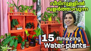 വീടിനുള്ളിൽ വെള്ളത്തിൽ വളർത്താവുന്ന 15 തരം ചെടികൾ  15 amazing indoor water plants Malayalam [upl. by Randi949]