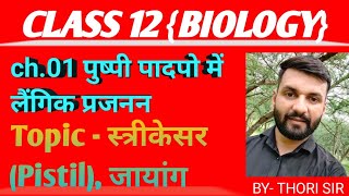 स्त्रीकेसर  जायांग  Types of Gynoecium  12 BIOLOGY RBSE BOARD 🛹 BY THORI SIR [upl. by Sivrup]