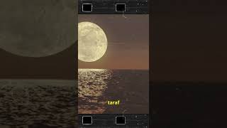 The Moon and the Waves Understanding Ocean Tides [upl. by Meece]