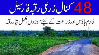 48 kanal agriculture land for sale in Chakwal Punjab Pakistan latest agriculture land for saleland [upl. by Allehcram867]