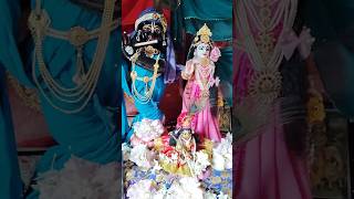 vrindavan mein radhe radhe song  krishna vrindavan [upl. by Ninehc]