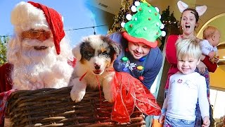 CHRISTMAS PUPPY SURPRISE  SANTA CAUGHT ON CAMERA Daily Bumps Christmas Special 2016 [upl. by Yeldarb]