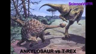 Bazı Dinozor Türleri ve İsimleri  Dinosaur Species [upl. by Kired]