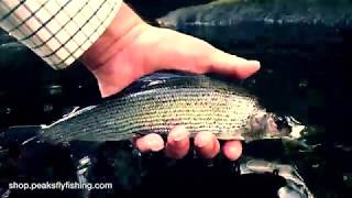 River Fly Fishing For Trout And Grayling [upl. by Ahsaei65]