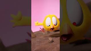 Earthquake earthquake Shorts Chicky  Cartoon for kids [upl. by Tiedeman815]