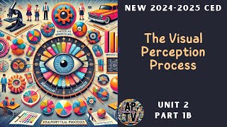 🎯The Visual Perceptual Processes  AP Psychology Unit 2 Part 2🎯 [upl. by Wojak883]