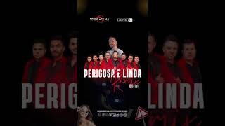 Remix Perigosa e Linda ❤️ [upl. by Adorne]