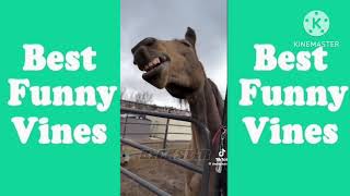 RxCKSTxR Comedy Voiceover Compilation Funny Vines 2 [upl. by Liebermann]