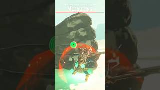 Link vs Molduking zelda viralvideo botw zeldabotw [upl. by Foushee]