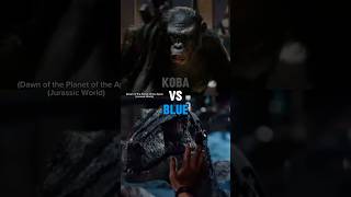 Koba vs Blue [upl. by Ennovad]