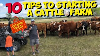 Starting a Beef Cattle Farm 10 TIPS for beginners to start a Cattle Ranch [upl. by Yaras391]