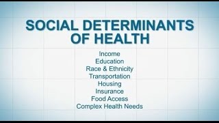 Social Determinants of Health [upl. by Eceertal]