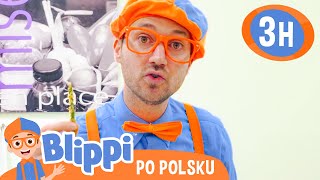 Akademia młodego szefa  Blippi po polsku 🔶 Nauka i zabawa dla dzieci [upl. by Yuh720]