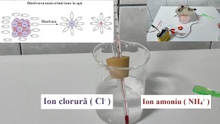 Dizolvarea endotermă a clorurii de amoniu în apă [upl. by Enelime]