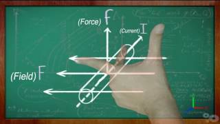 Flemings left hand rule [upl. by Montfort785]