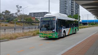 2 minutes of buses at Belconnen interchange [upl. by Lazare]