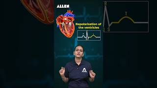 ECG  A Quick Guide to Heart Health ❤️  Shorts [upl. by Nillek125]