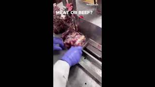 ASMR MEAT BEEF CUTTING [upl. by Yrad]