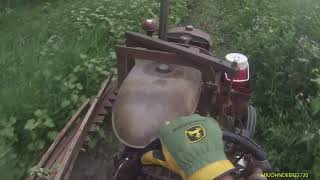 pulling trees with the farmall A [upl. by Aloap]