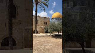 The Dome of the Rock on the Temple Mount Jerusalem Israel 2024 [upl. by Judson]