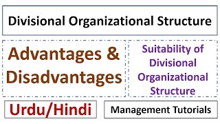 What is Divisional Organizational Structure SuitabilityAdvantagesDisadvantagesUrduHindi [upl. by Assirual548]