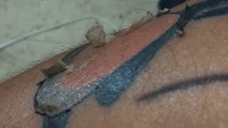 Cuidados básicos del tatuaje [upl. by Silva]