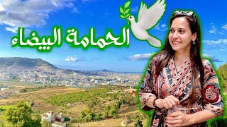 علاش خصك تزور تطوان القديمة وعين الزرقاء ؟ 🕊️🇲🇦 [upl. by Aicinod]