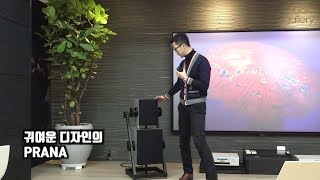 골드문트GOLDMUND 2019년 신제품 프라나PRANA 리뷰 [upl. by Lemor]