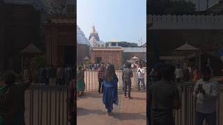 Jete jauchi mo bayasa gadi 🙏🙏♥️ytshorts song jagannathbhajana puri kalia shorts ytthumbnail [upl. by Grossman]