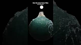 How the moon forms tides ocean tides moon gravity planet space [upl. by Amadus]