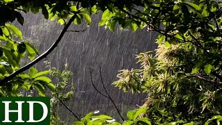 Regen  HD  Regengeräusche und Naturgeräusche [upl. by Cleave]