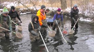 In the Field with Zoology 511 The Ecology of Fishes [upl. by Archibold513]