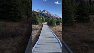 Forest path at Peter Lougheed Provincial Park naturewalk [upl. by Fezoj272]