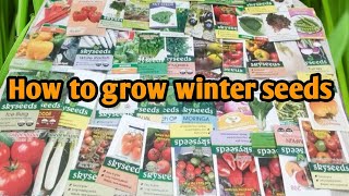 How to grow winter seeds  How to plant winter vegetables lifewithsheikh21 [upl. by Pevzner]