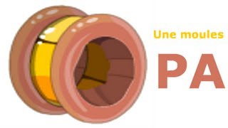 DOFUS Mon Exo Pa  Mon Anneau en Poulpe et en moule [upl. by Hobart]