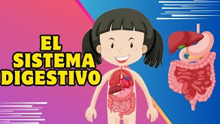 El sistema digestivo  Función y componentes Video educativo para niños [upl. by Brynn]