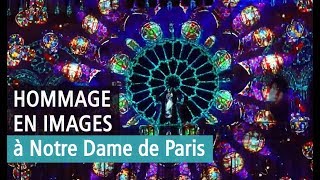 Notre Dame de Paris avant lincendie  Hommage à la Cathédrale en lumière  Vidéo Youtube [upl. by Koziarz]