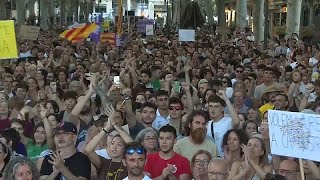 quotMeno turismo più vitaquot a Maiorca migliaia di persone chiedono di contrastare lovertourism [upl. by Ahsiret608]