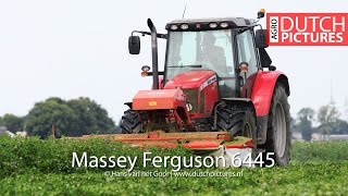 Klaver maaien met MF 6445 en Kuhn  Mowing clover BiddinghuizenKuhnFC 283 GII [upl. by Milly62]