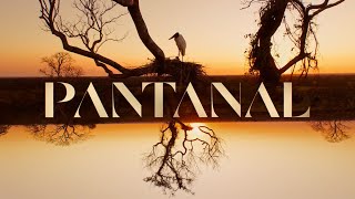 Pantanal a abertura da nova novela das 21h 🐆  TV Globo [upl. by Beall677]