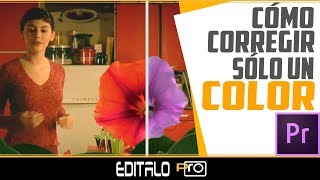 Corregir un determinado COLOR en un Vídeo  HSL Secundario [upl. by Itaws570]