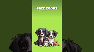 Top Foods to Avoid and Safe Snacks for Dogs and Cats  Pet Care Tips [upl. by Ahgiela109]