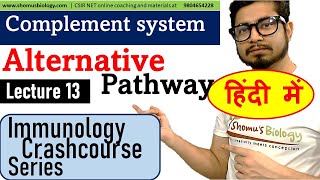 Alternative pathway of complement activation in Hindi [upl. by Rennold]