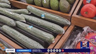 Salmonella found in SunFed Cucumbers on Front Range local farmer reacts [upl. by Ecirahc]