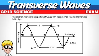 Exam Transverse Waves Grade 10 [upl. by Annoved131]