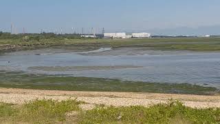 Incoming Tide Calshot Marsh [upl. by Mattias]